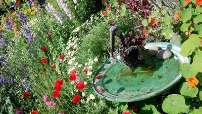 Gardens bloom for charity